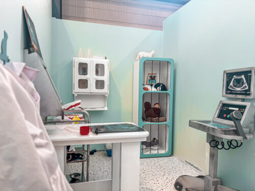 jeu-de-role-veterinaire-ludi-planet-Vendée