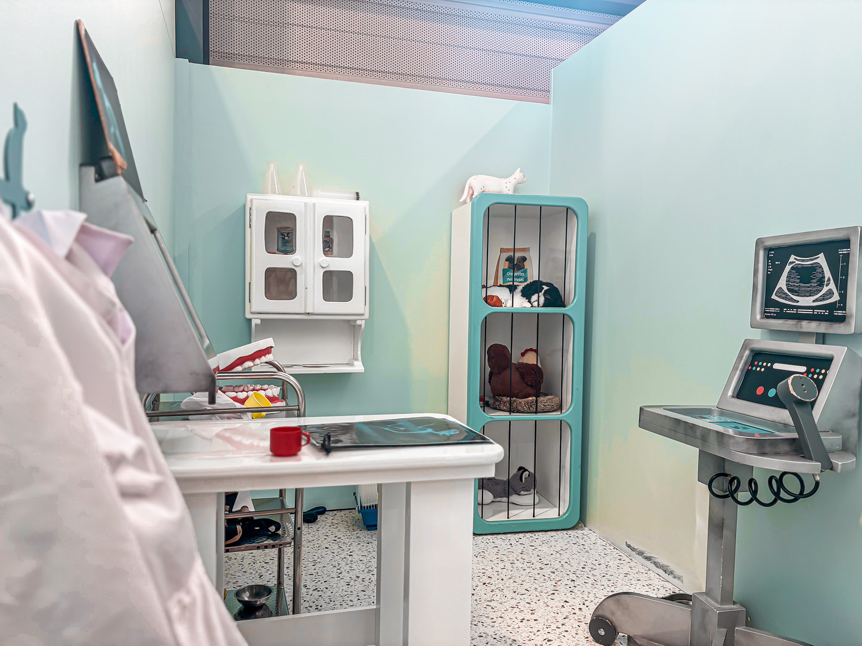 jeu-de-role-veterinaire-ludi-planet-Vendée